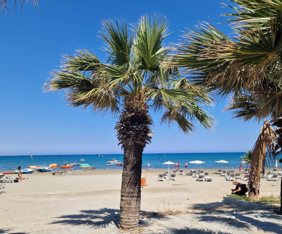 Palmen am Mackenzie Beach in Larnaka mit Blick aufs Meer