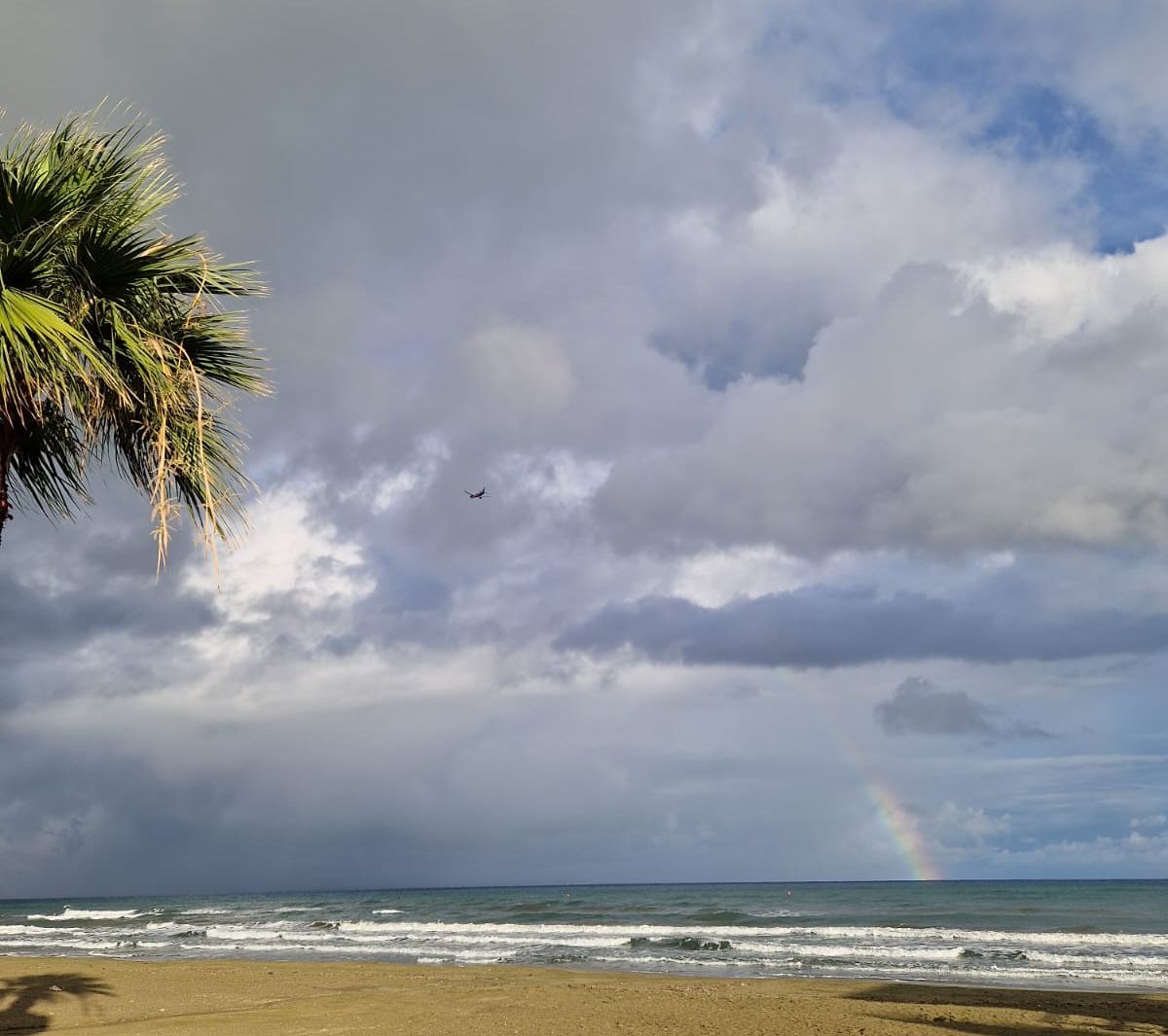 Regenbogen über dem Meer bei Larnaka, davor eine Palme und Winterwolken